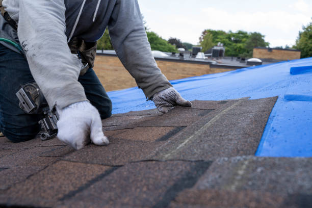 Best Flat Roof Repair Services  in Chickasaw, AL